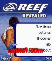 game pic for Miss Reef Revealed
